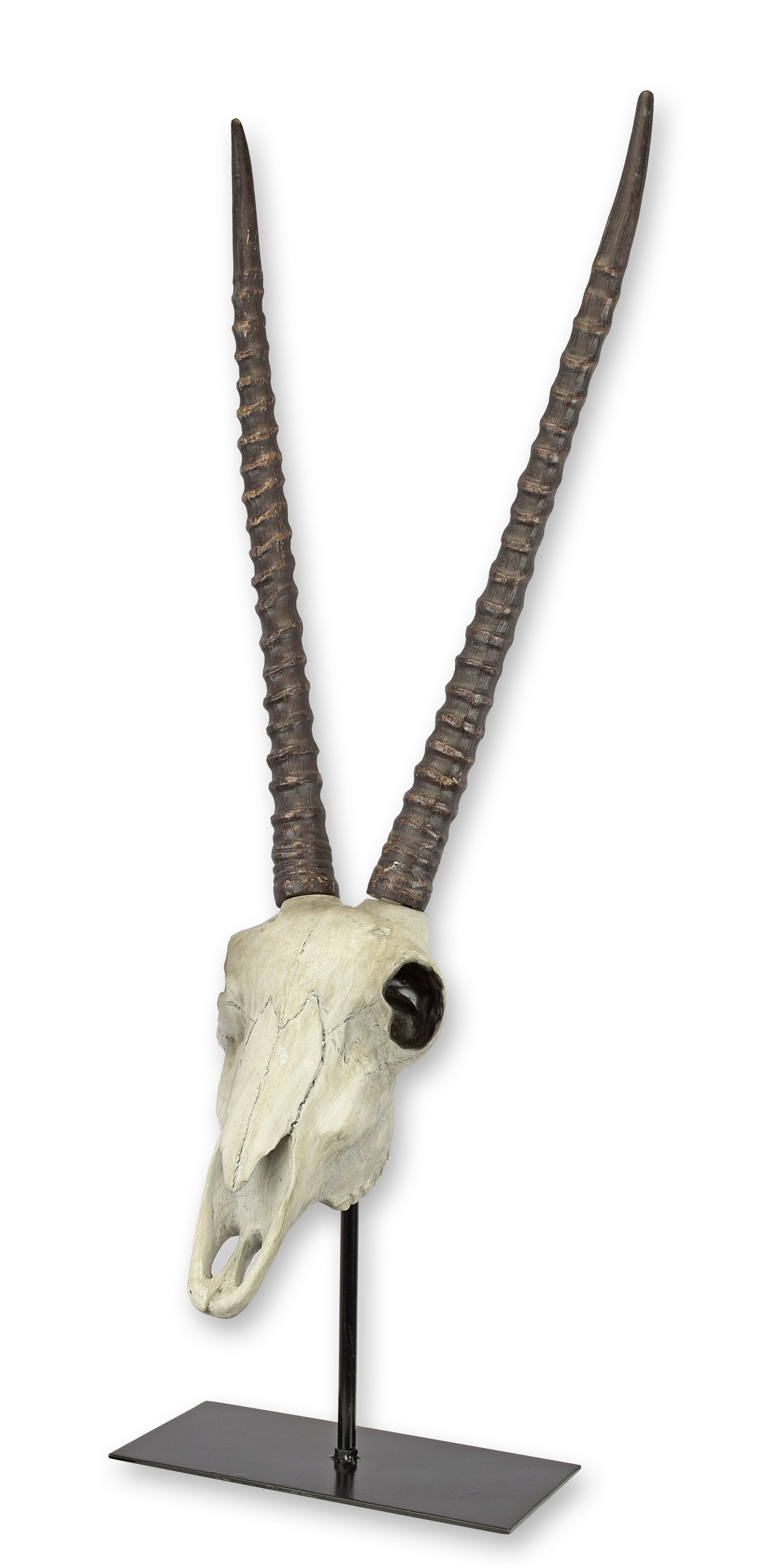 Tier, Antilope, Gazelle, Säugetier, Tierwelt