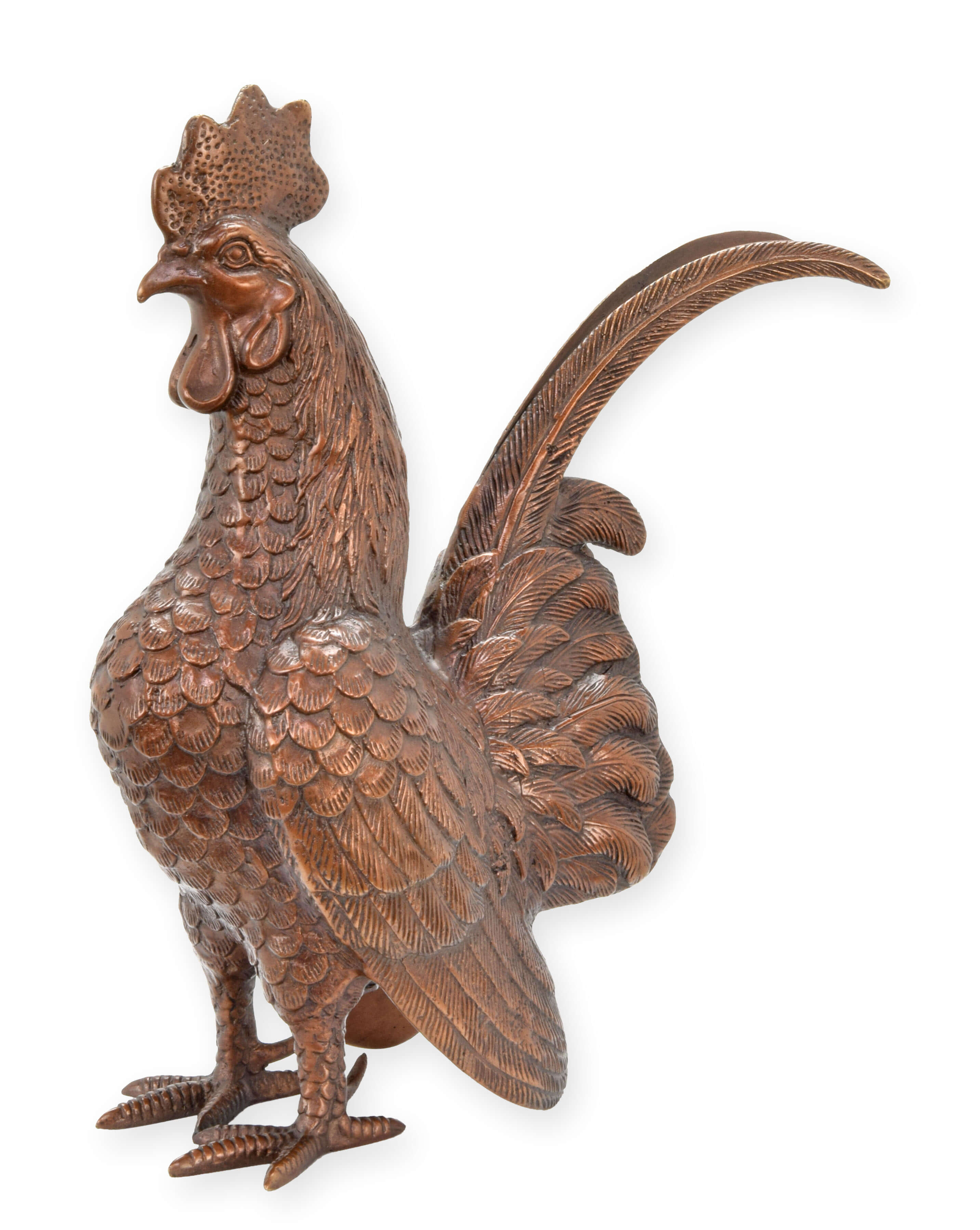 Tier, Vogel, Hühnchen, Geflügel
