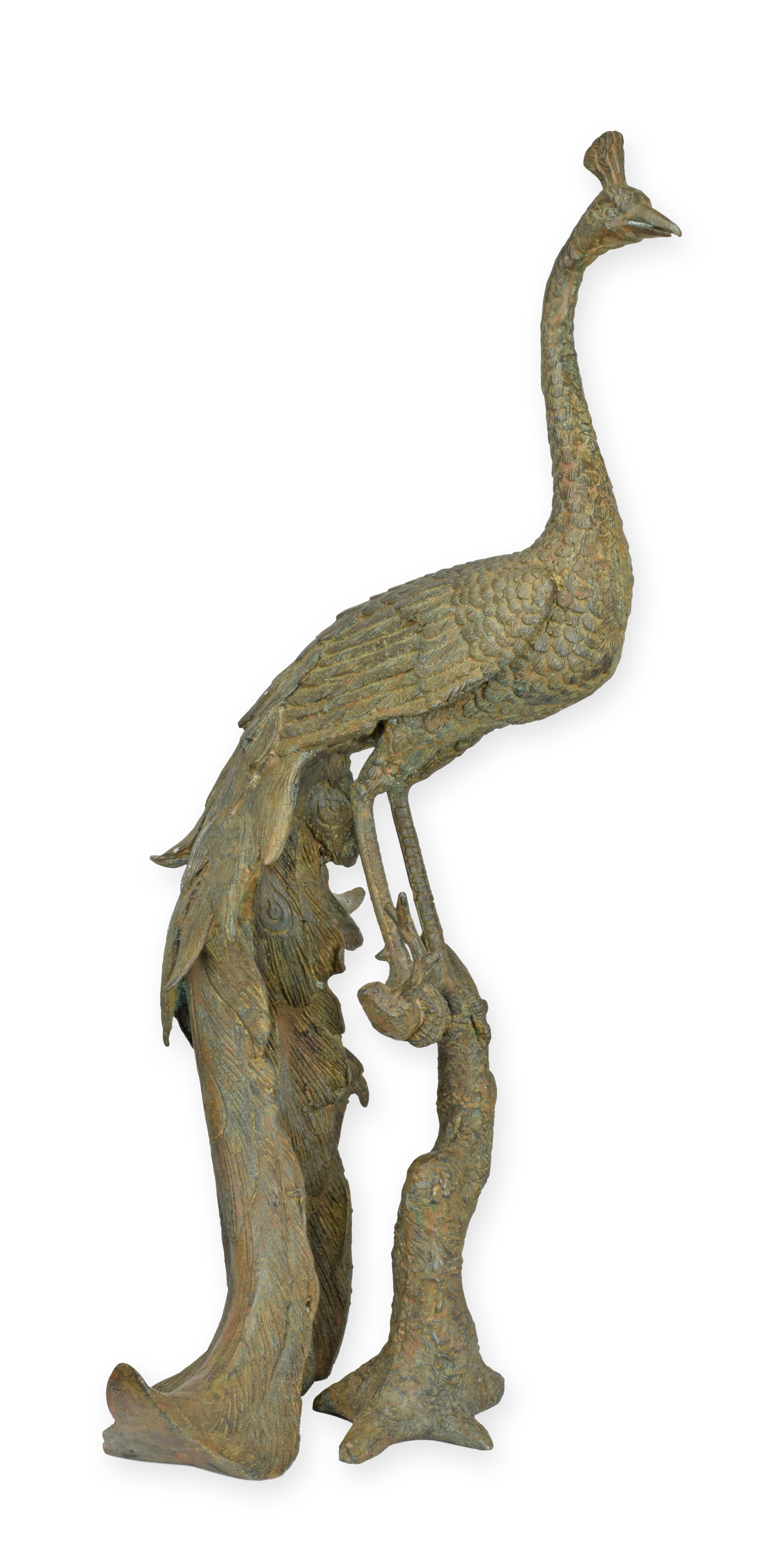 Vogel, Kranich, Vogel, Wasservögel, Dinosaurier, Reptil