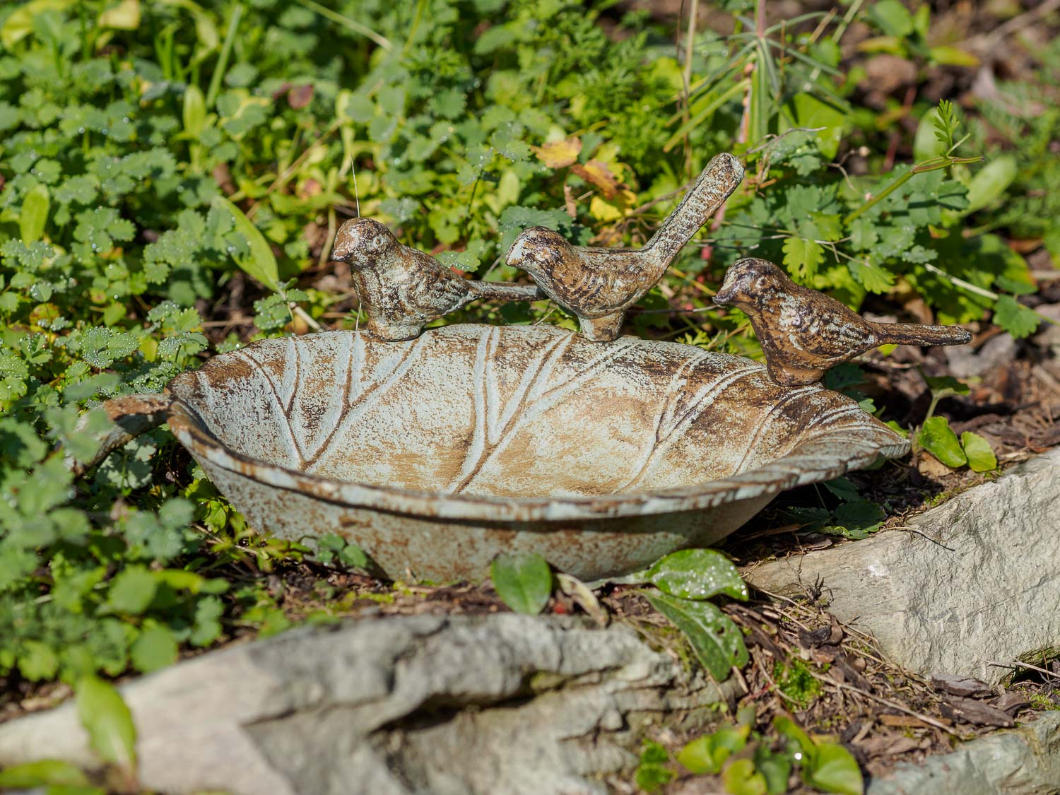 Vogeltränke Vogelbad Garten Vogelbecken Vogel Tränke Eisen grün