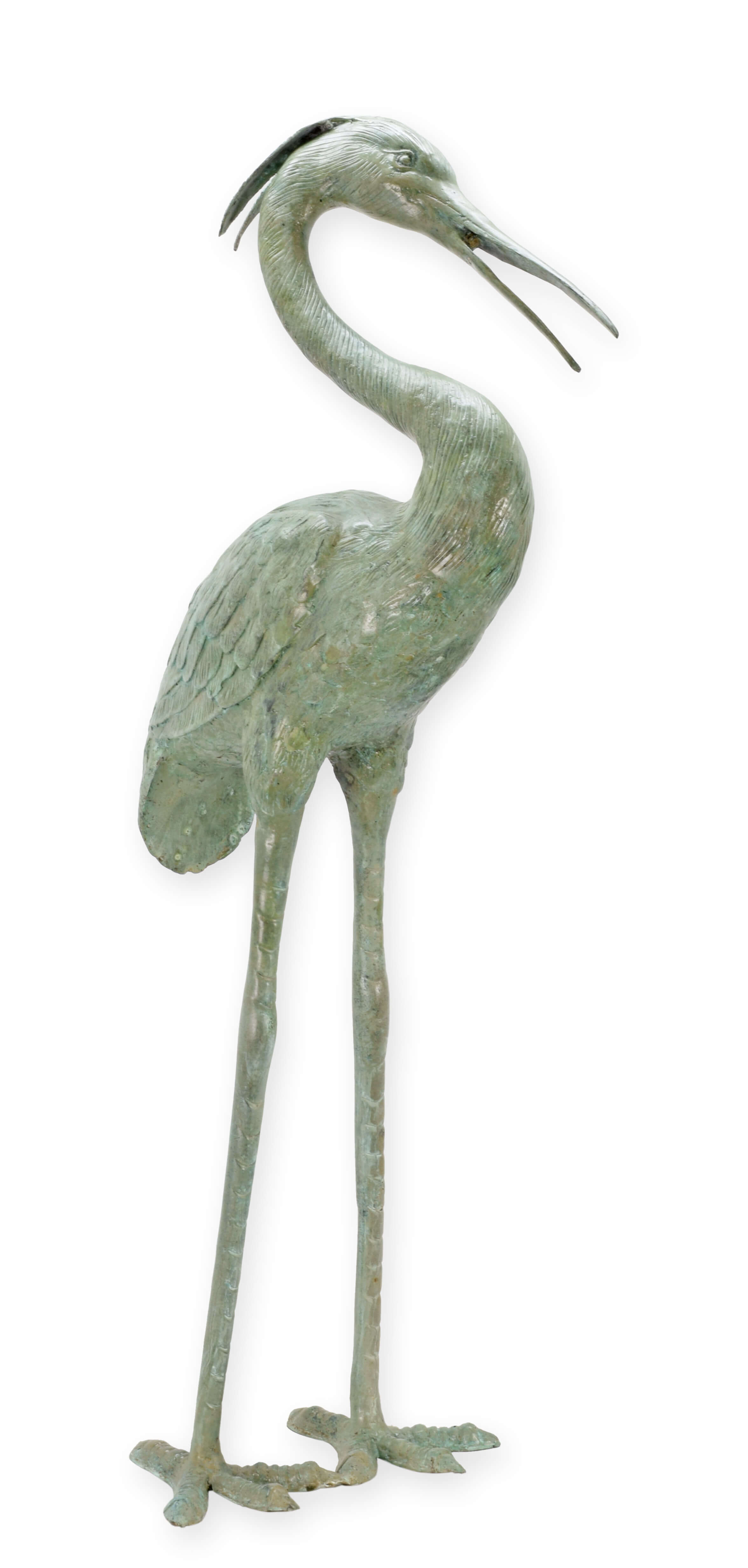 Tier, Vogel, Kranich, Vogel, Wasservögel