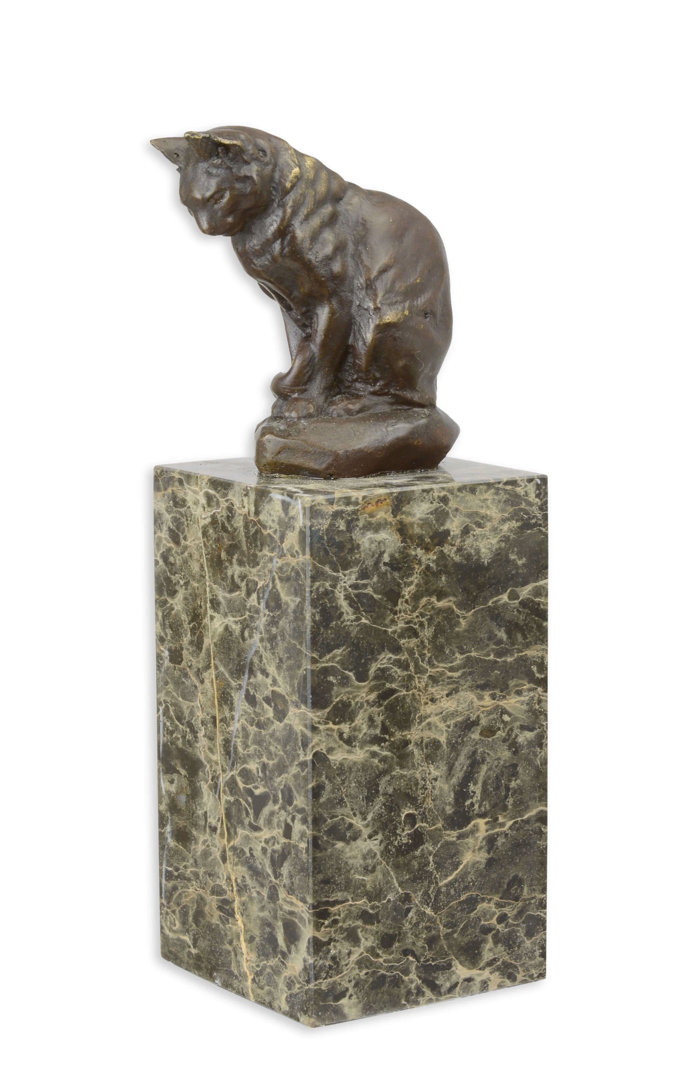 Tier, Löwe, Säugetier, Tierwelt, Bronze
