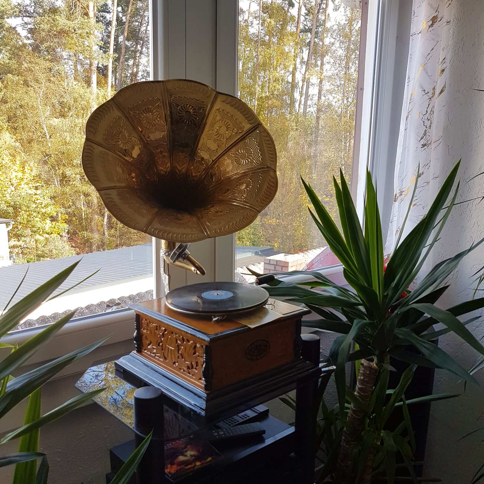 Nostalgi grammofon grammofon dekoration med tratt grammofon antik stil (h)