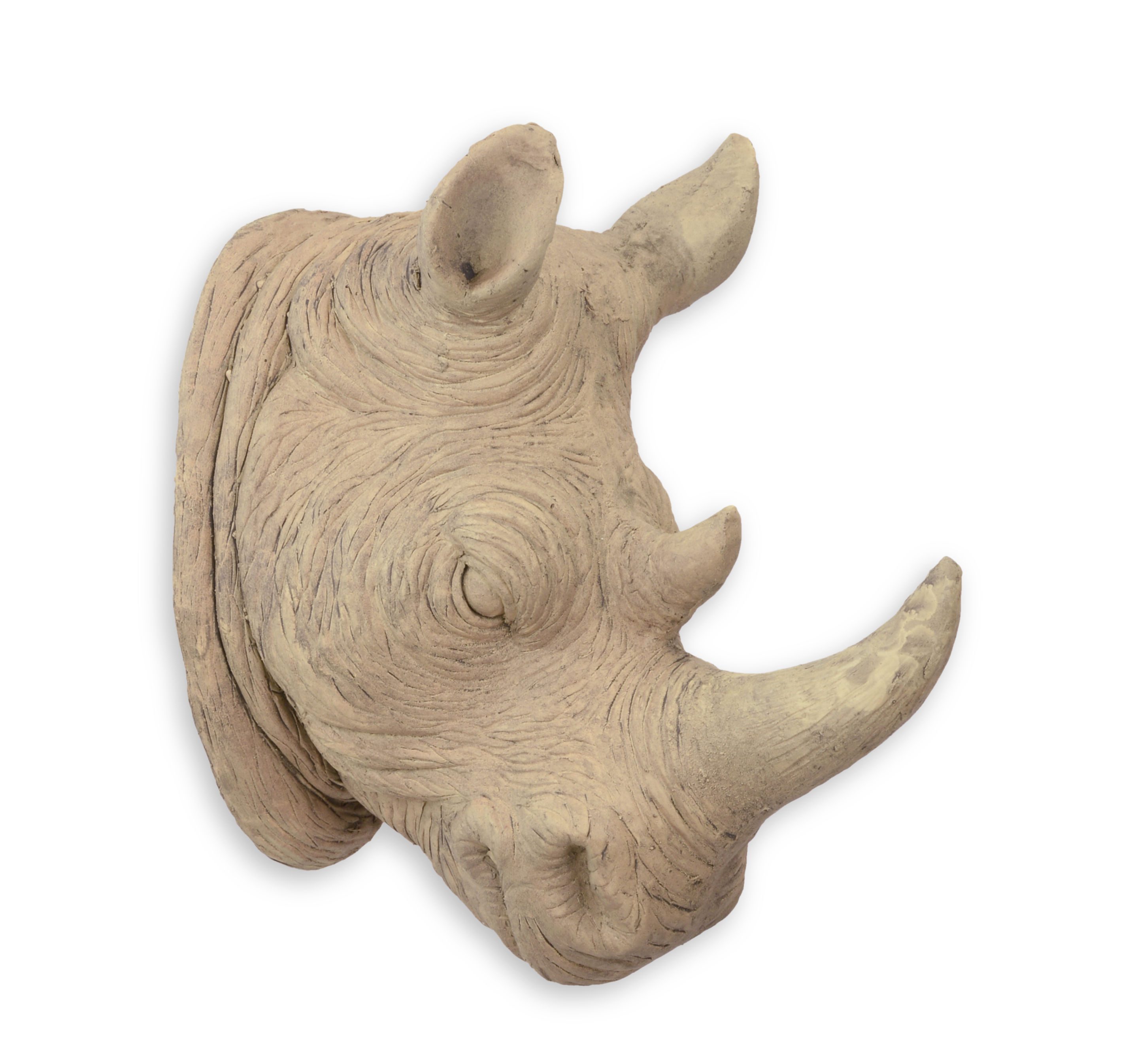 Tier, Säugetier, Schwein, Nashorn, Tierwelt